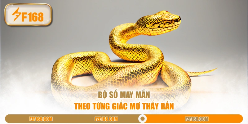 Bộ số may mắn theo từng giấc mơ thấy rắn 