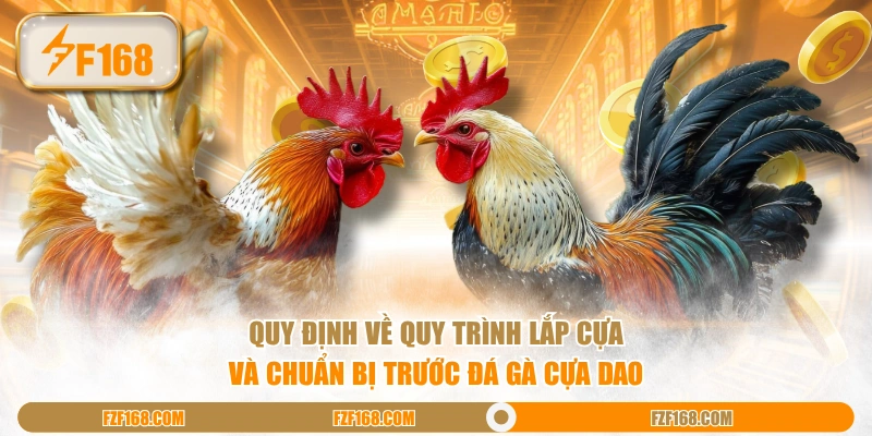 Quy định về quy trình lắp cựa và chuẩn bị trước đá gà cựa dao